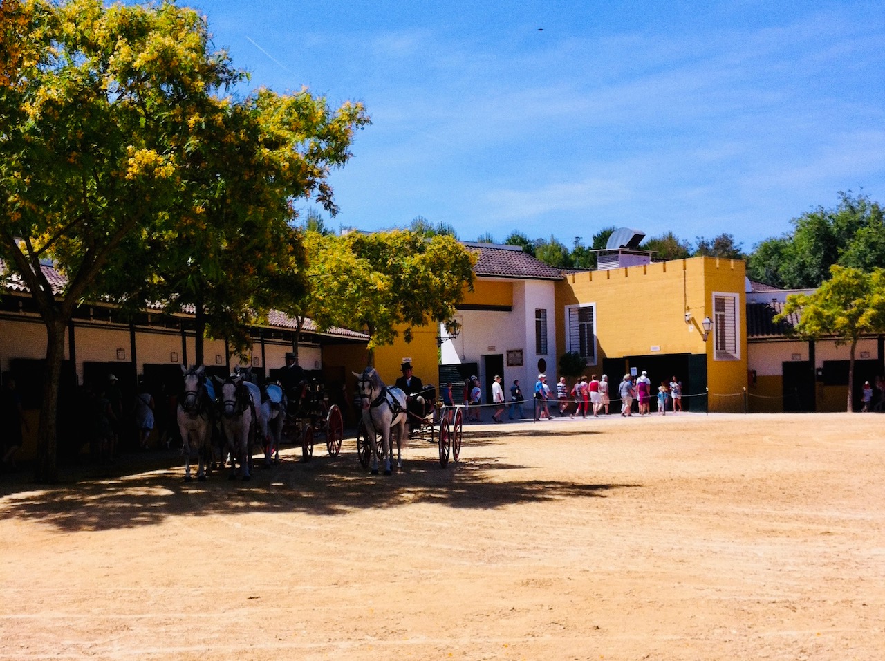 Jerez de la Frontera paardenshow
