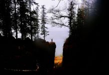 Mørkonga wandeling in Noorwegen