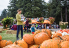 Herfst in Portland, Oregon: pompoenfestivals, wandelingen en wonderlijke natuur Herfst in Portland, Oregon