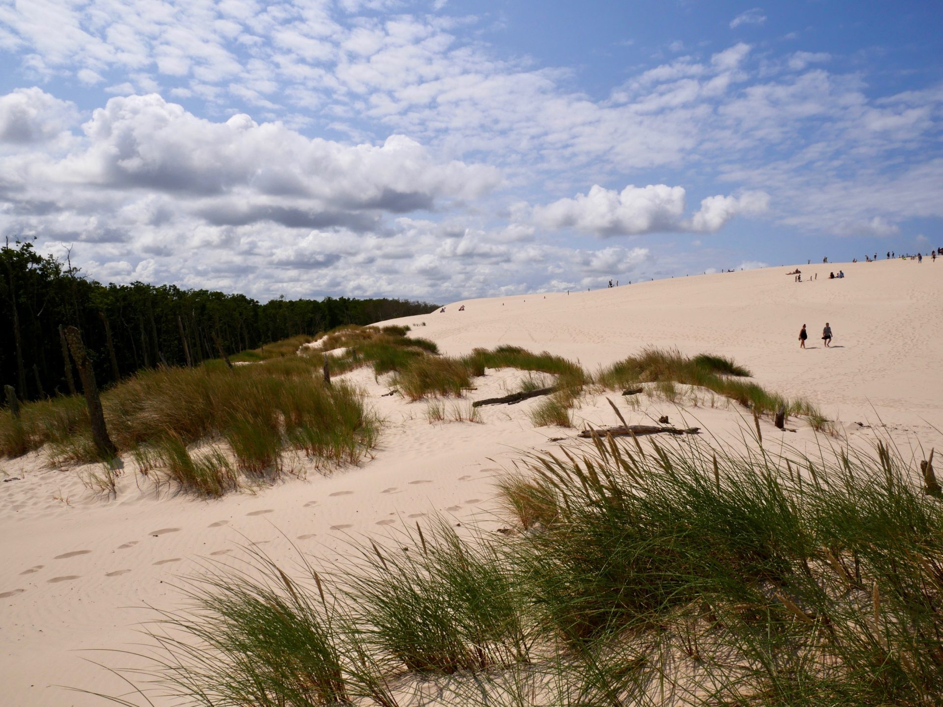 bewegende duinen in Europa