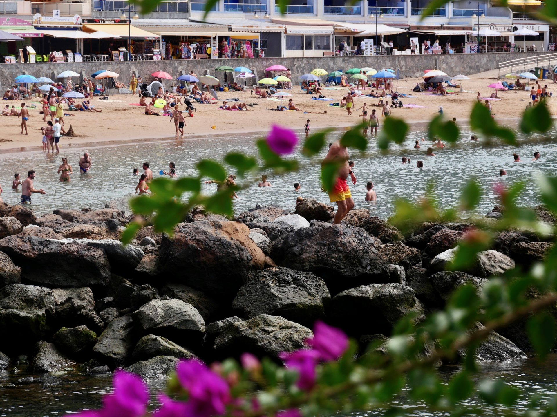 Playa puerto de mogan