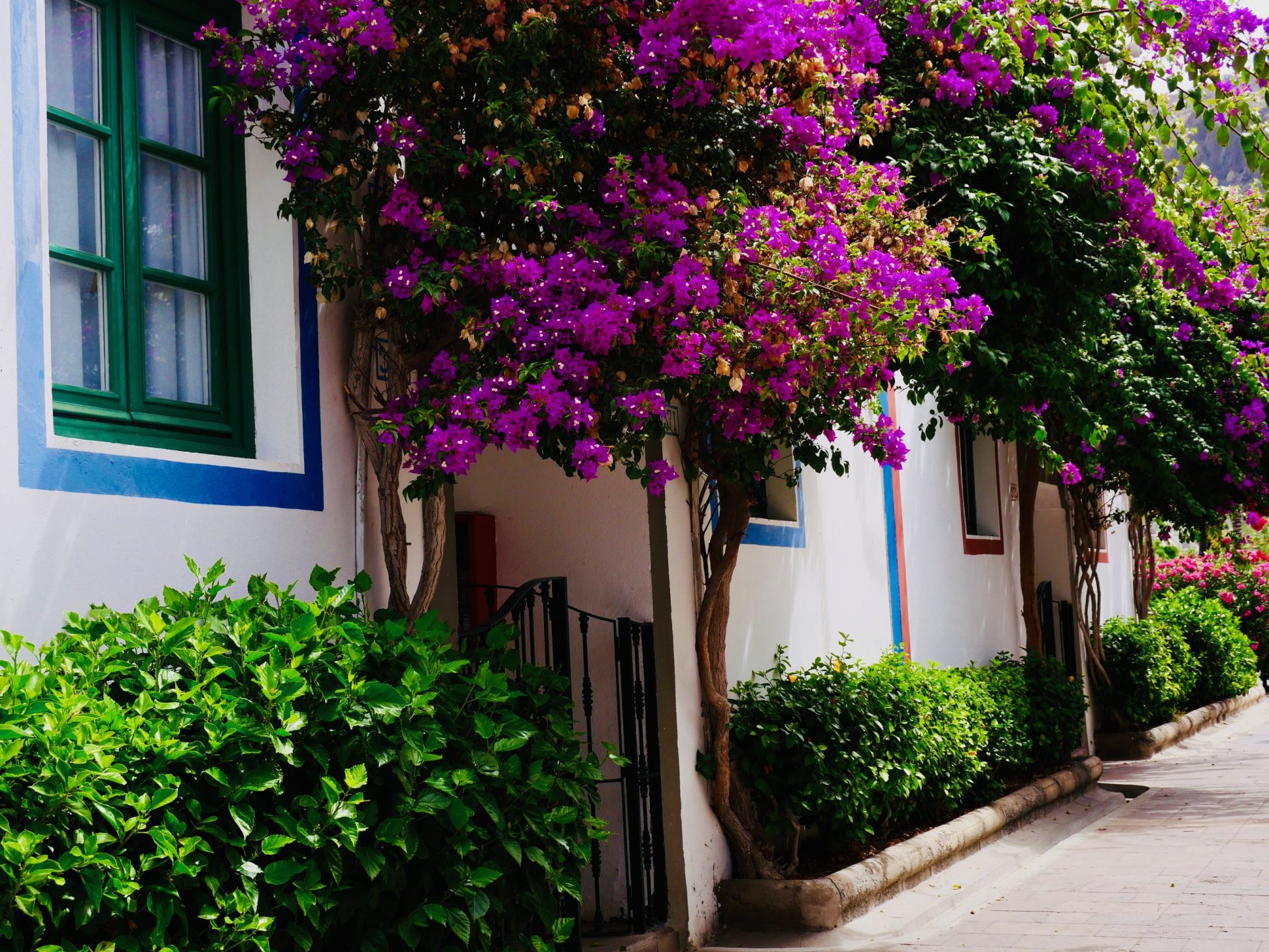 Puerto de Mogan's bezienswaardigheden