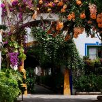 Wat is er te doen in Puerto de Mogán