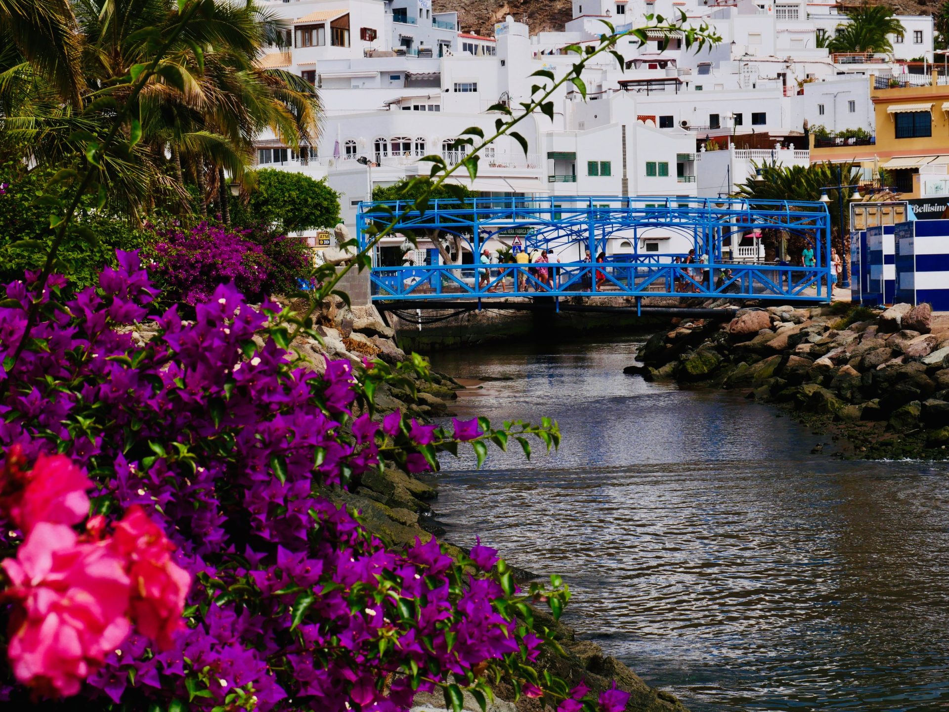 bezienswaardigheden Puerto de mogan