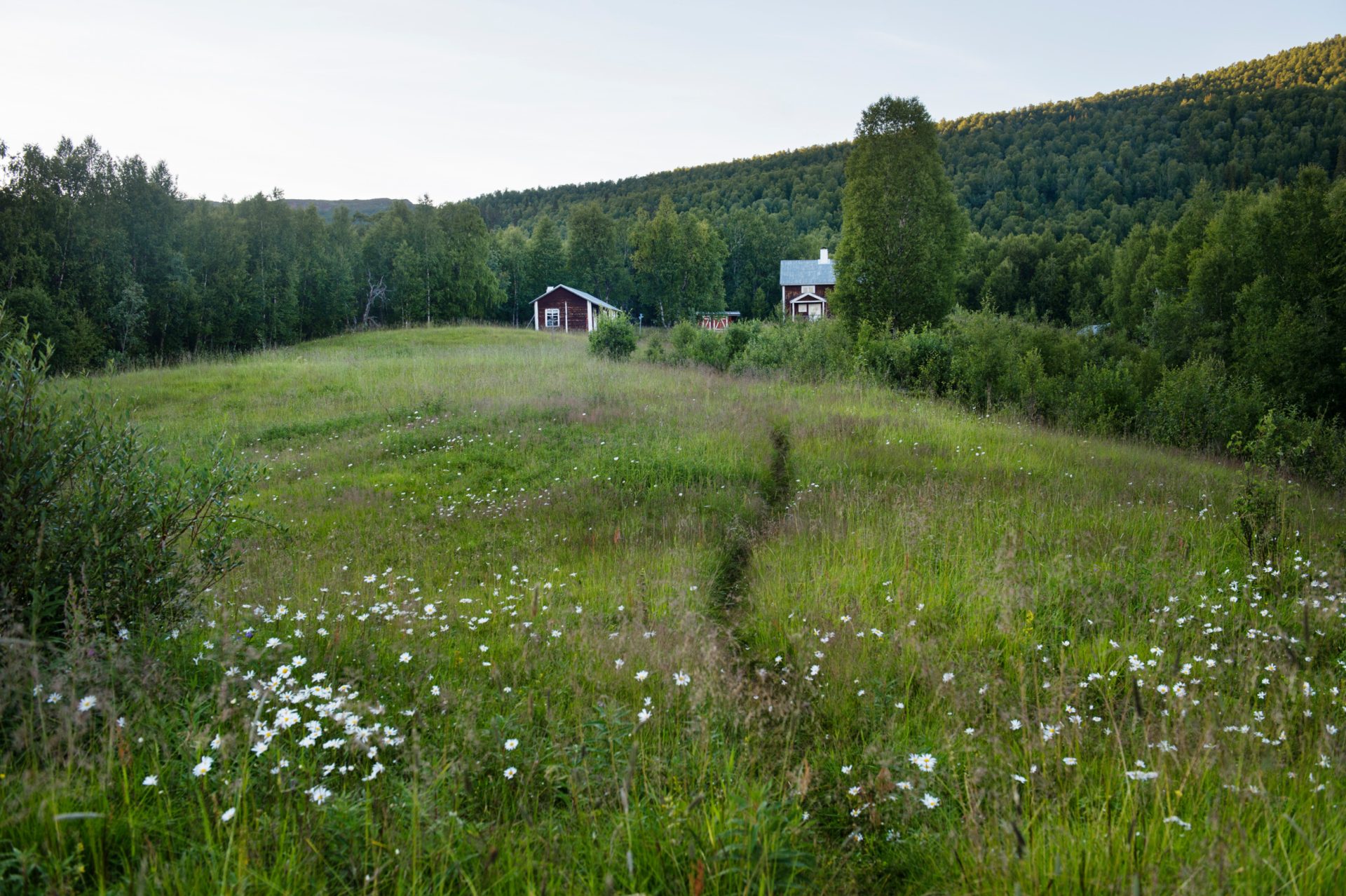 moa_karlberg-cabins_open_to_the_public-5993