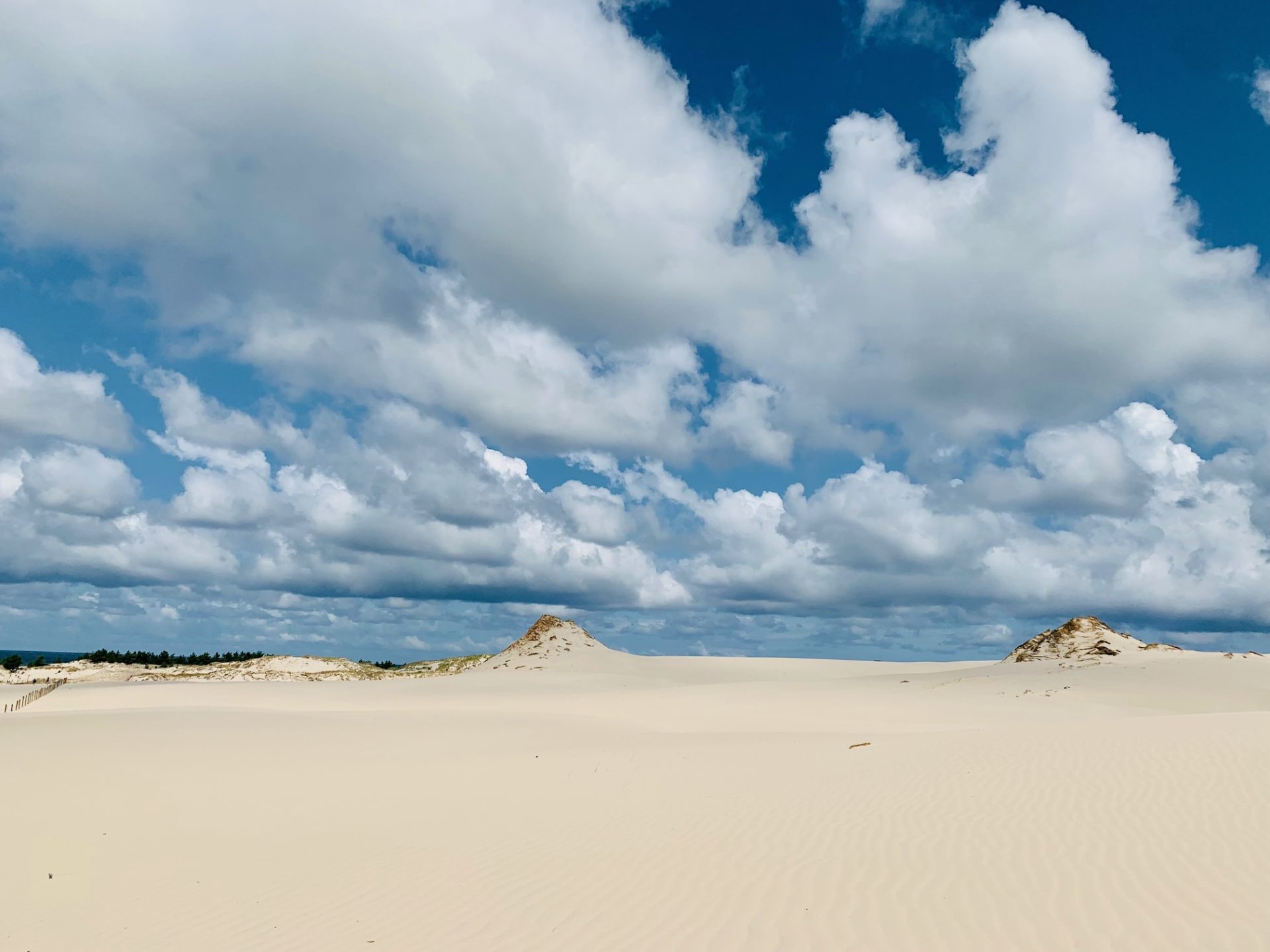 Poolse sahara