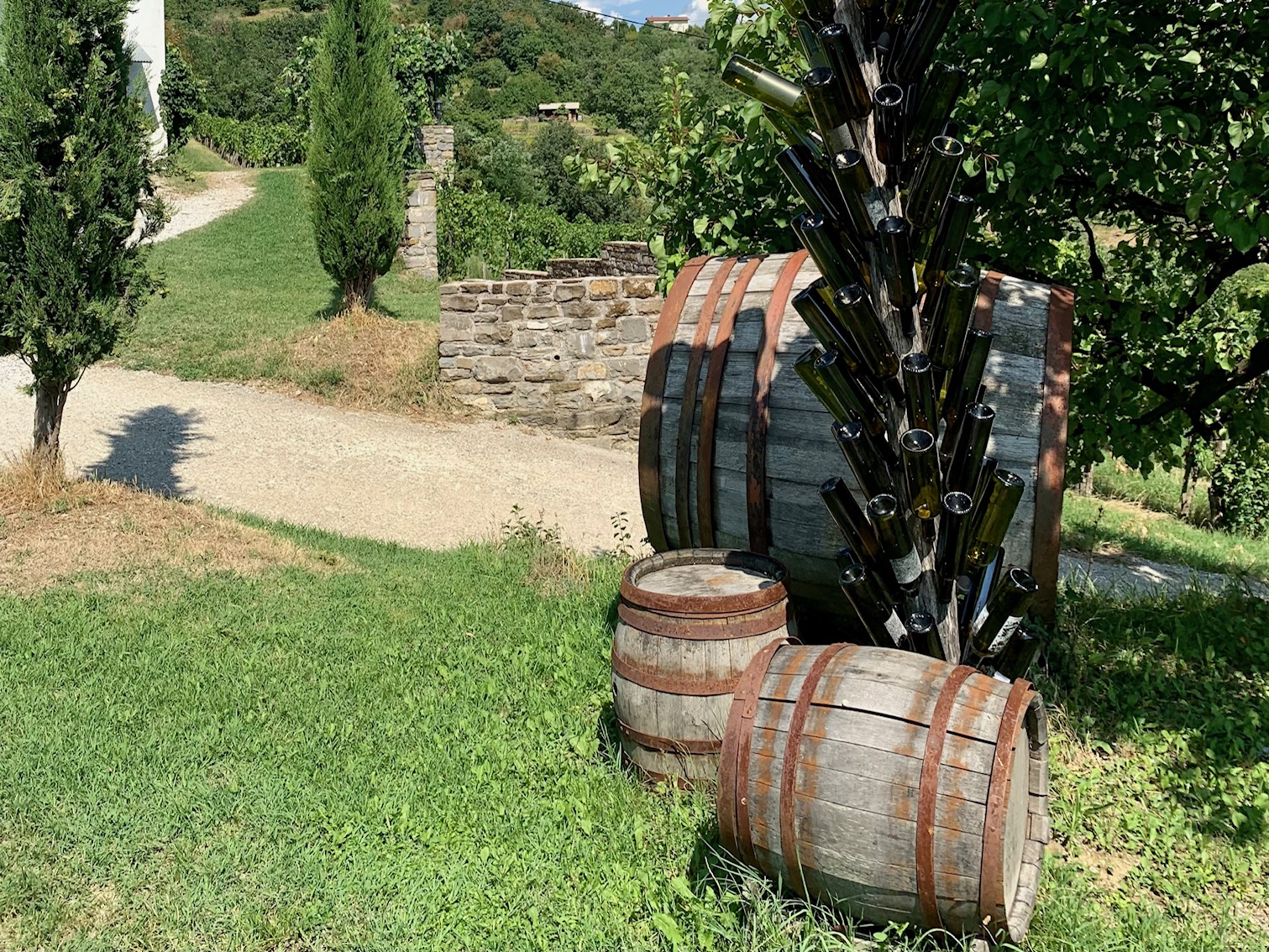 Vino Sosolic