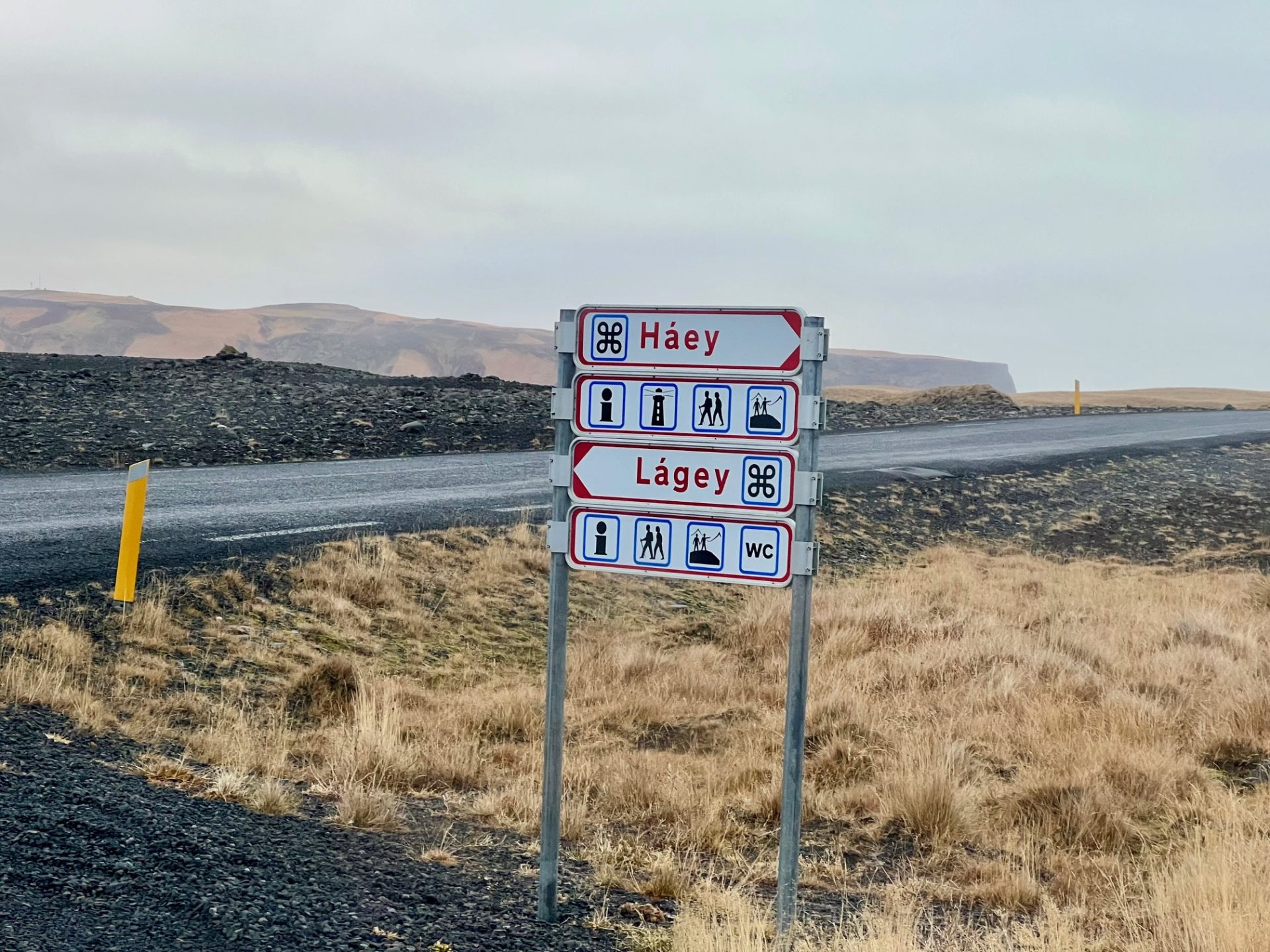 Bordjes langs de weg naar Dyrholey