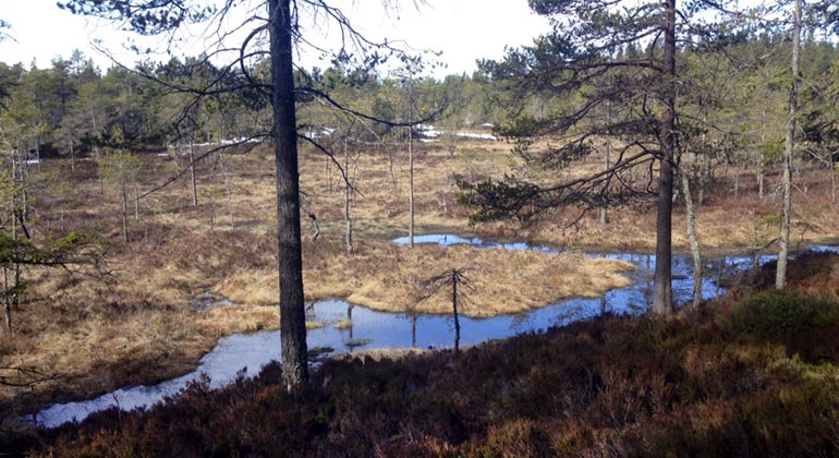 Djupdalshojden2_KjellStore