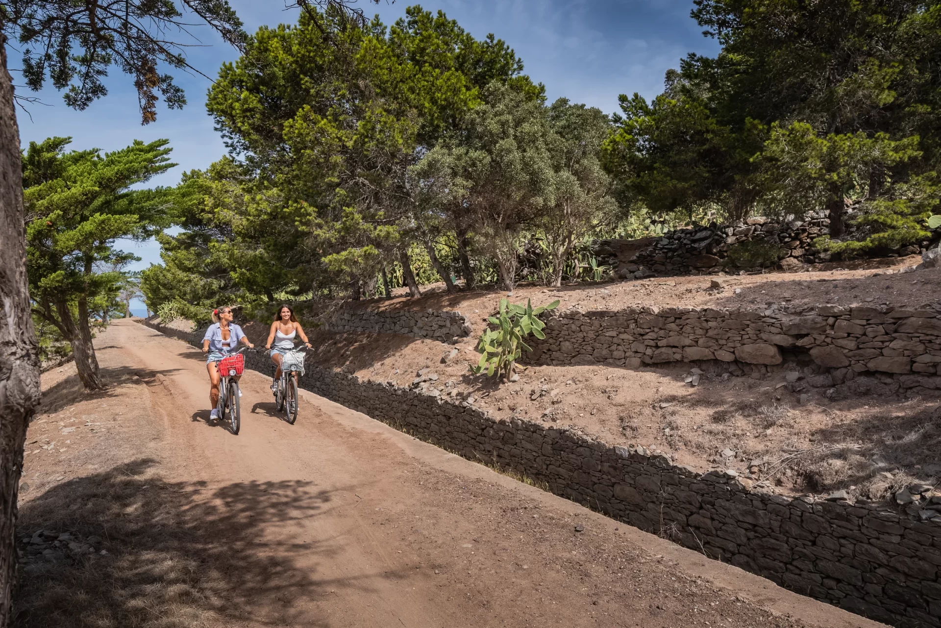 Passeio de Bicicletas_Porto Santo©Francisco Correia-1.jpeg