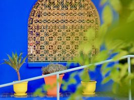 De Majorelletuin in Marrakech, tips & tickets Majorelletuin bloempotten