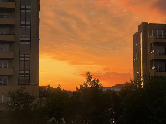 Hoe laat gaat de zon onder in Nederland? | Per seizoen en maand