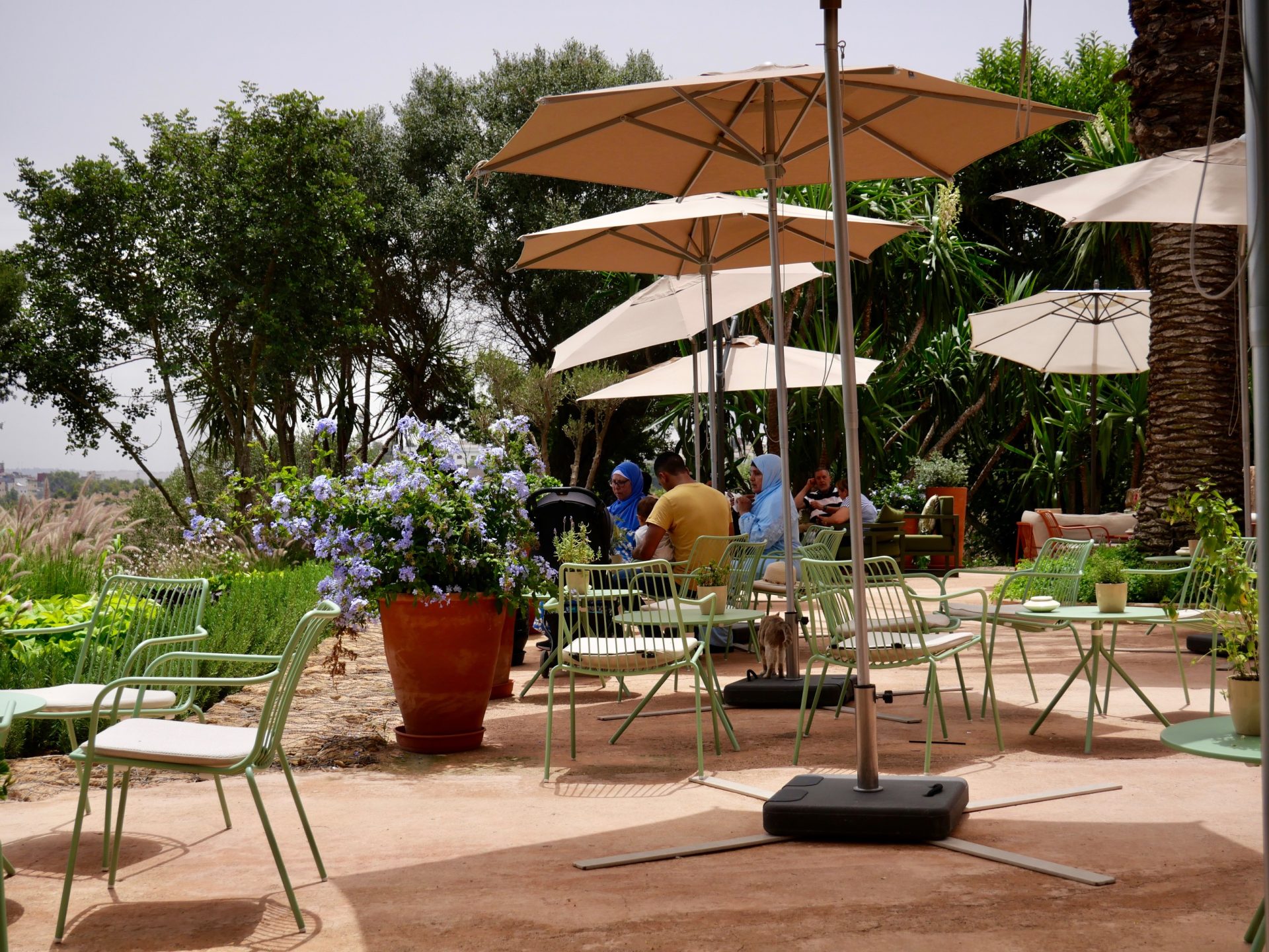 Café Restaurant Ciconia