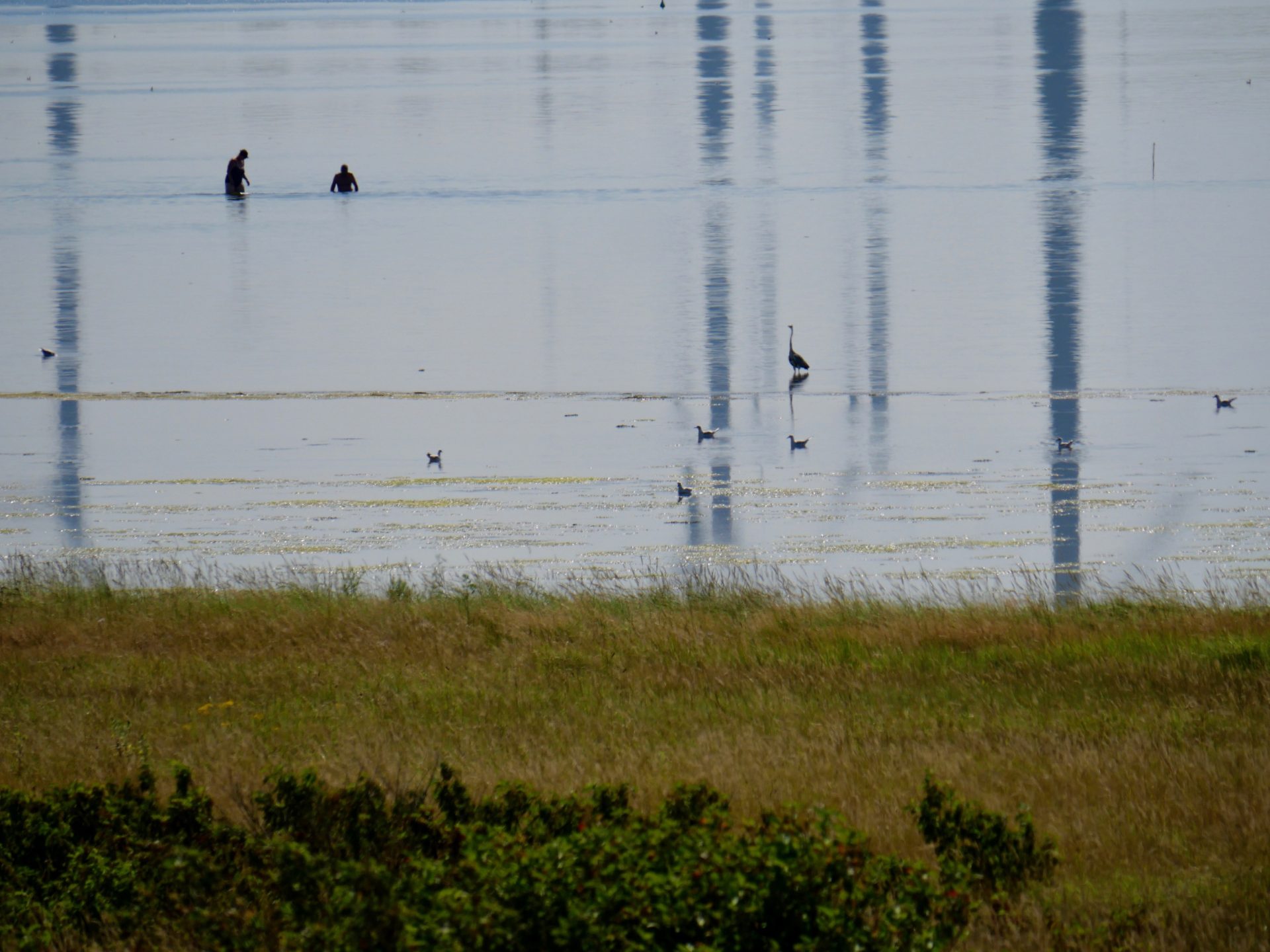 mensen in het grevelingenmeer