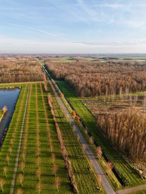 Bentwoud, mooi wandelgebied in de Randstad