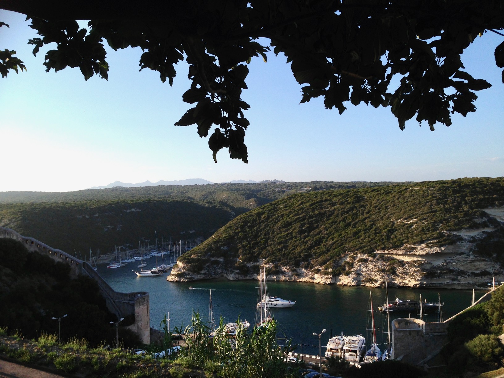 Bonifacio