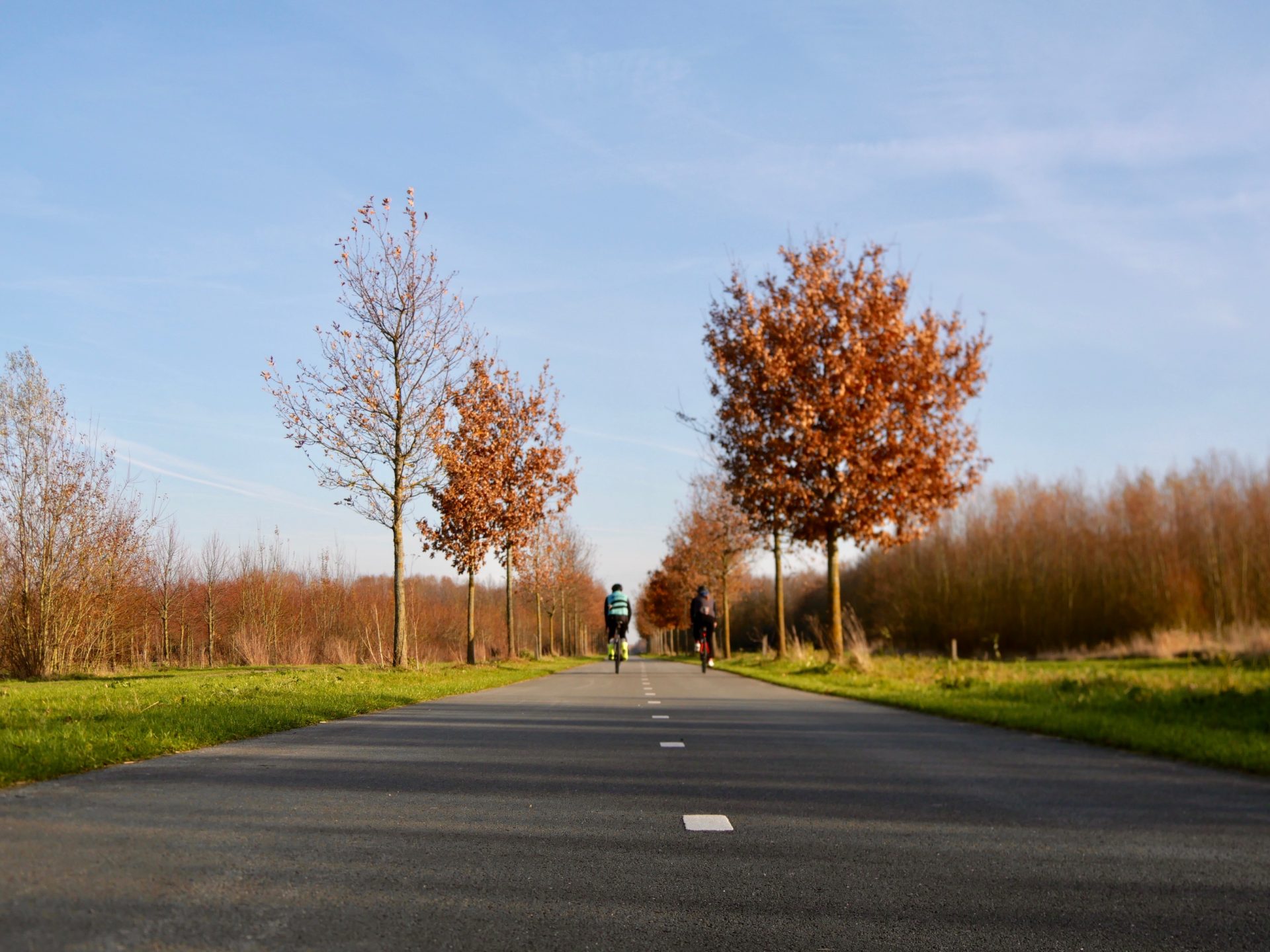 fietsers in bentwoud benthuizen