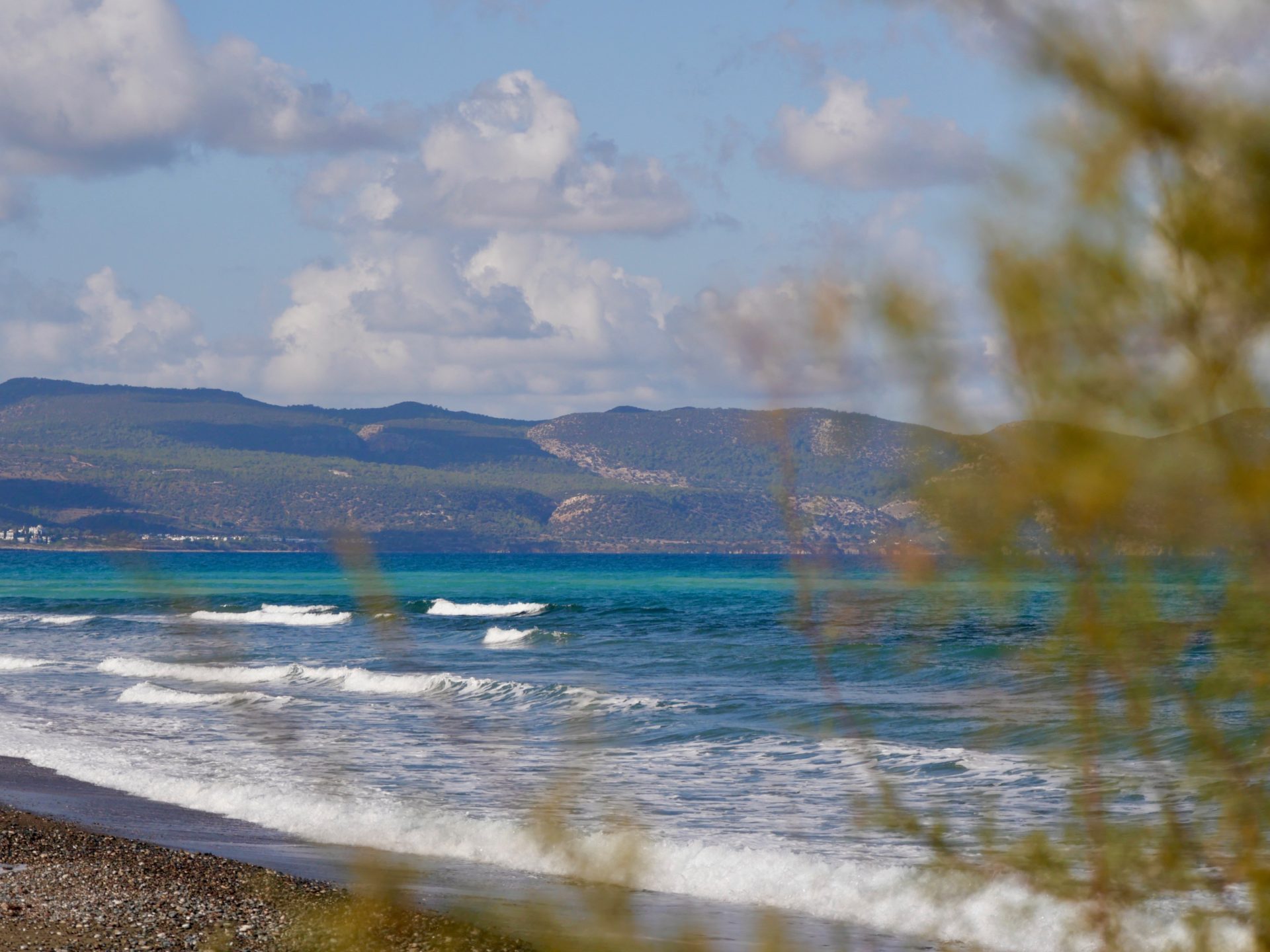 uitzicht op de bossen van paphos