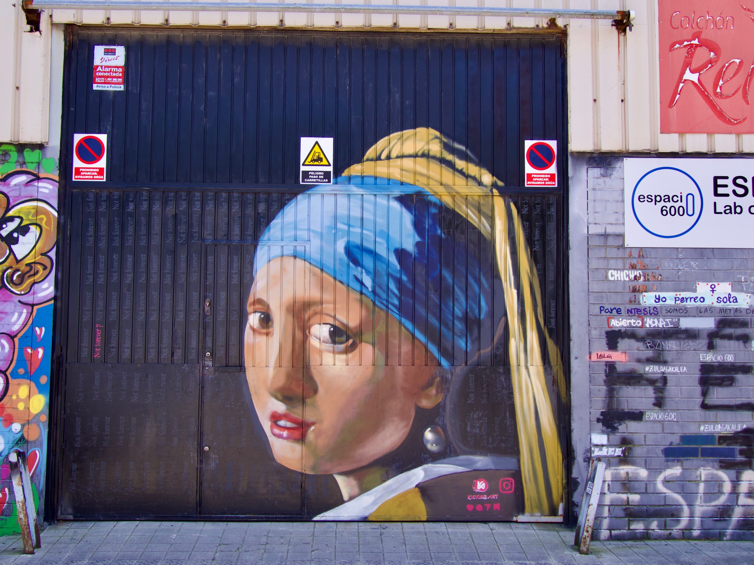 meisje met de parel street art
