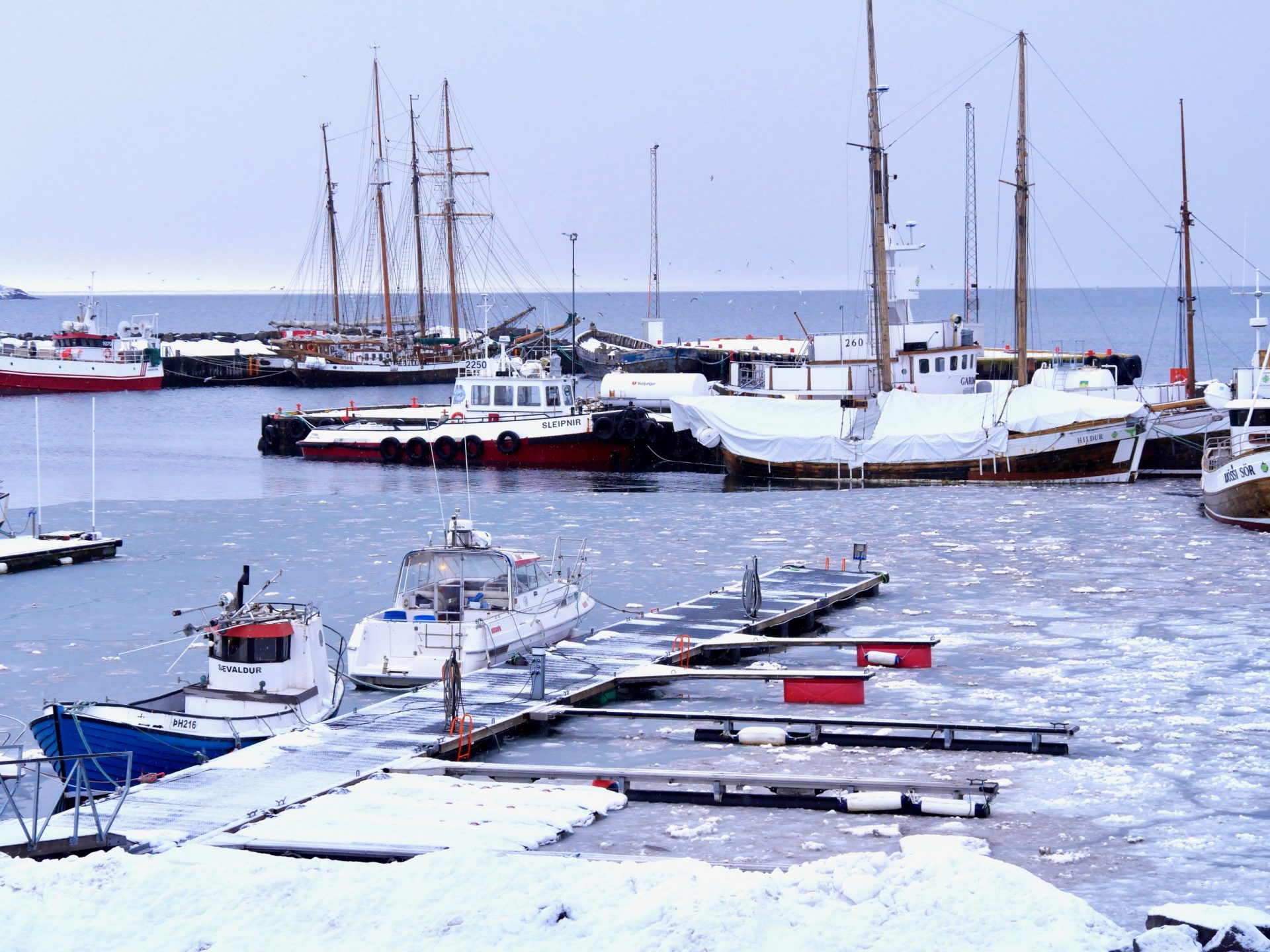Haven walvistours