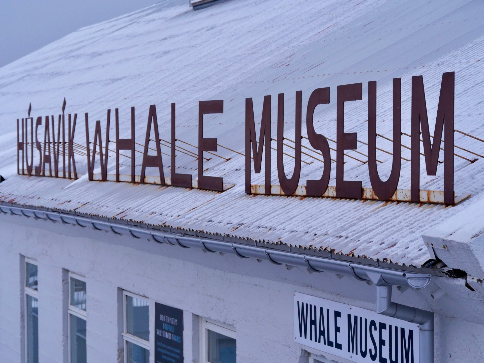 Húsavík whale museum