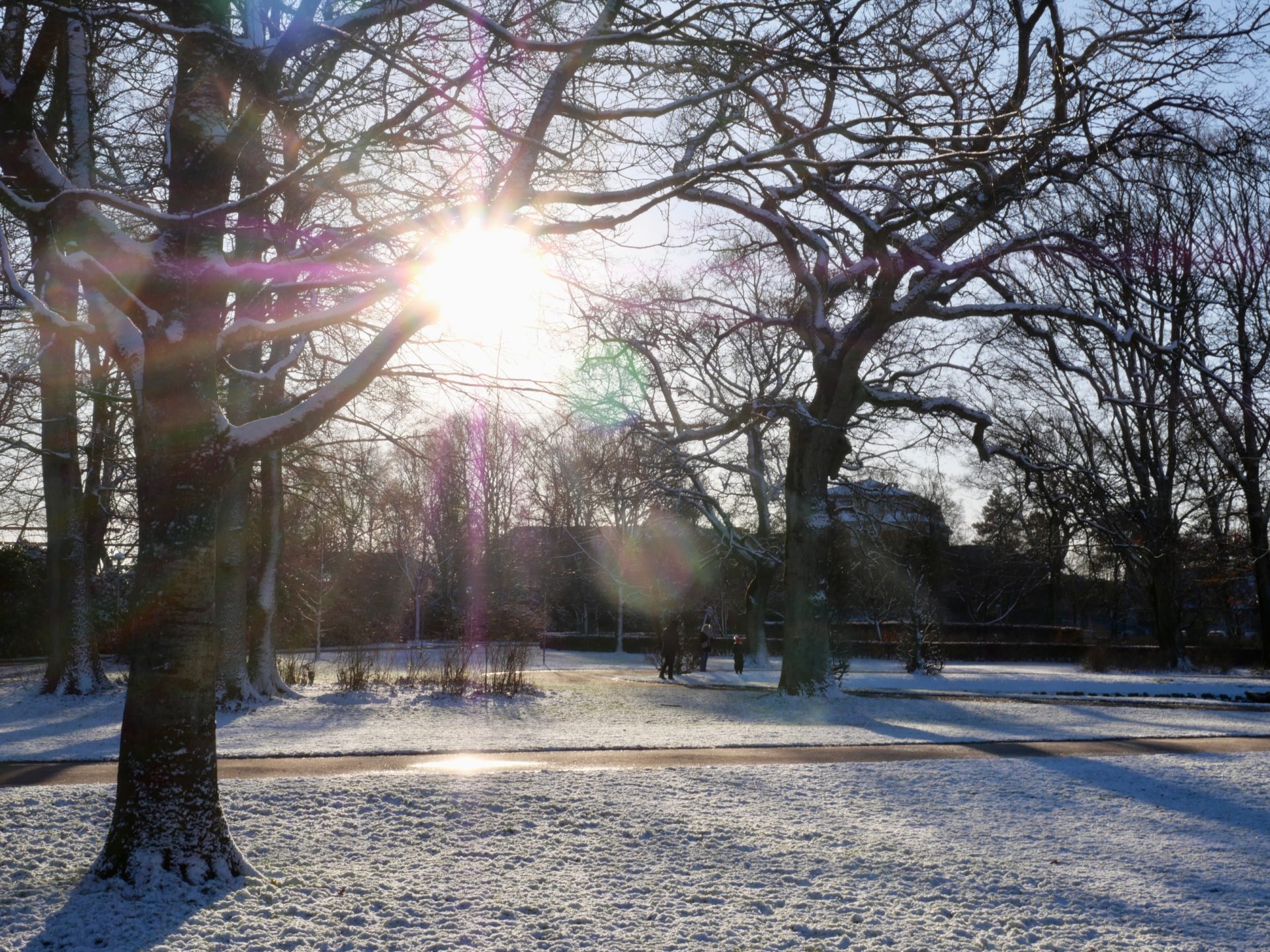 Kildeparken aalborg sneeuw