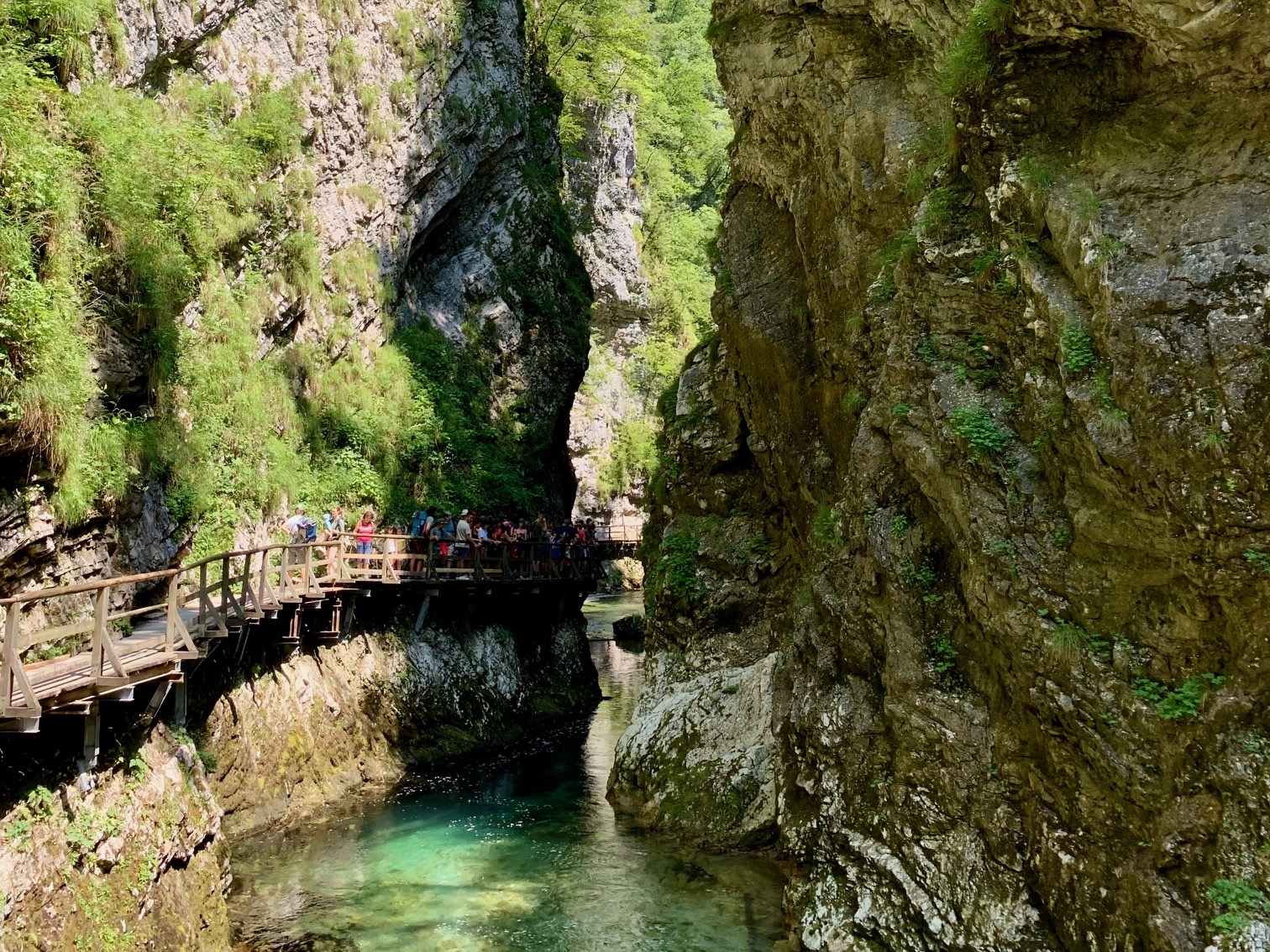 smalle stuk vintgar kloof slovenie