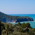 zee mallorca