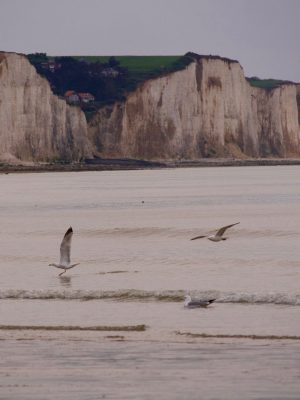 Mers-les-Bains, wandelen langs de kliffen