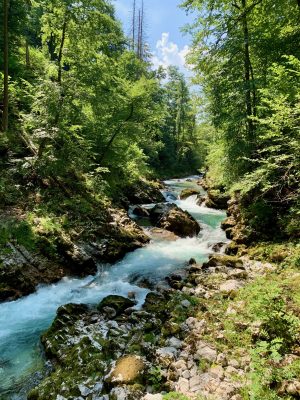 Vintgar kloof Slovenië, tips, route, parkeren & mooiste tijd om te gaan