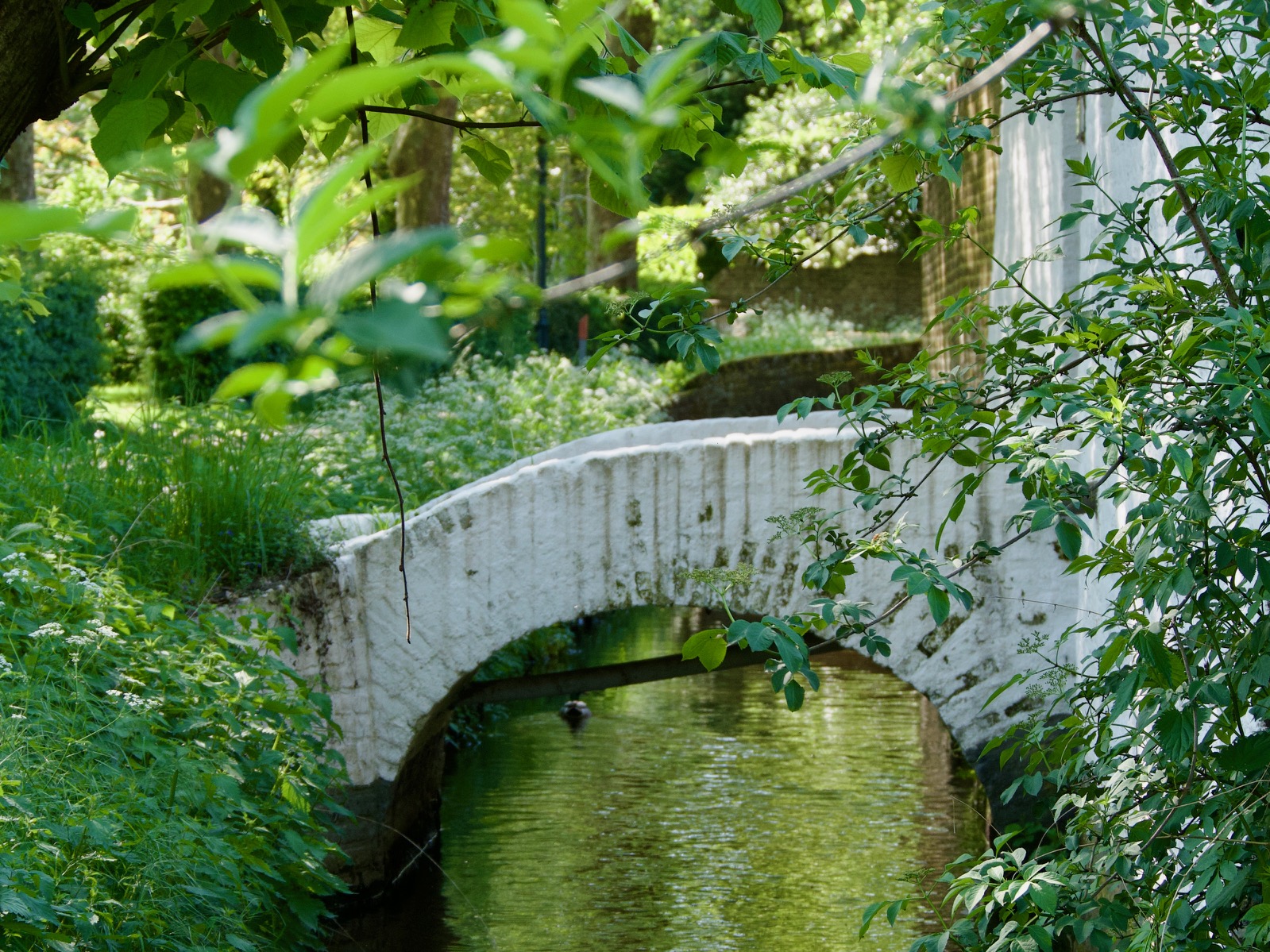 bruggetjes met beekje