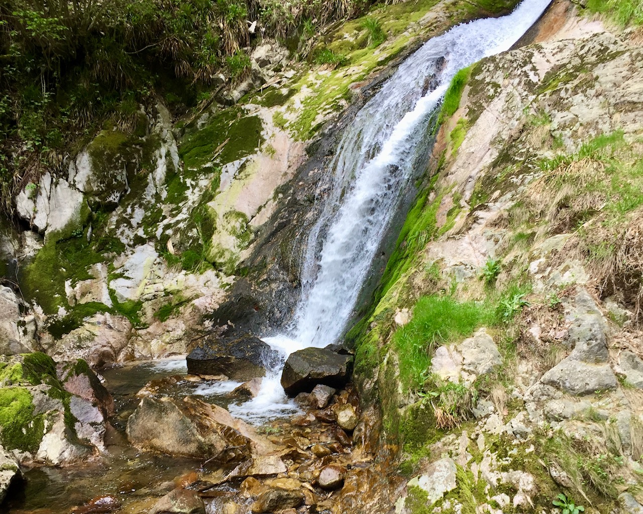 Allerheiligen wasservalle zwarte woud