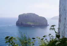 Gaztelugatxe zicht op eiland en bloemen