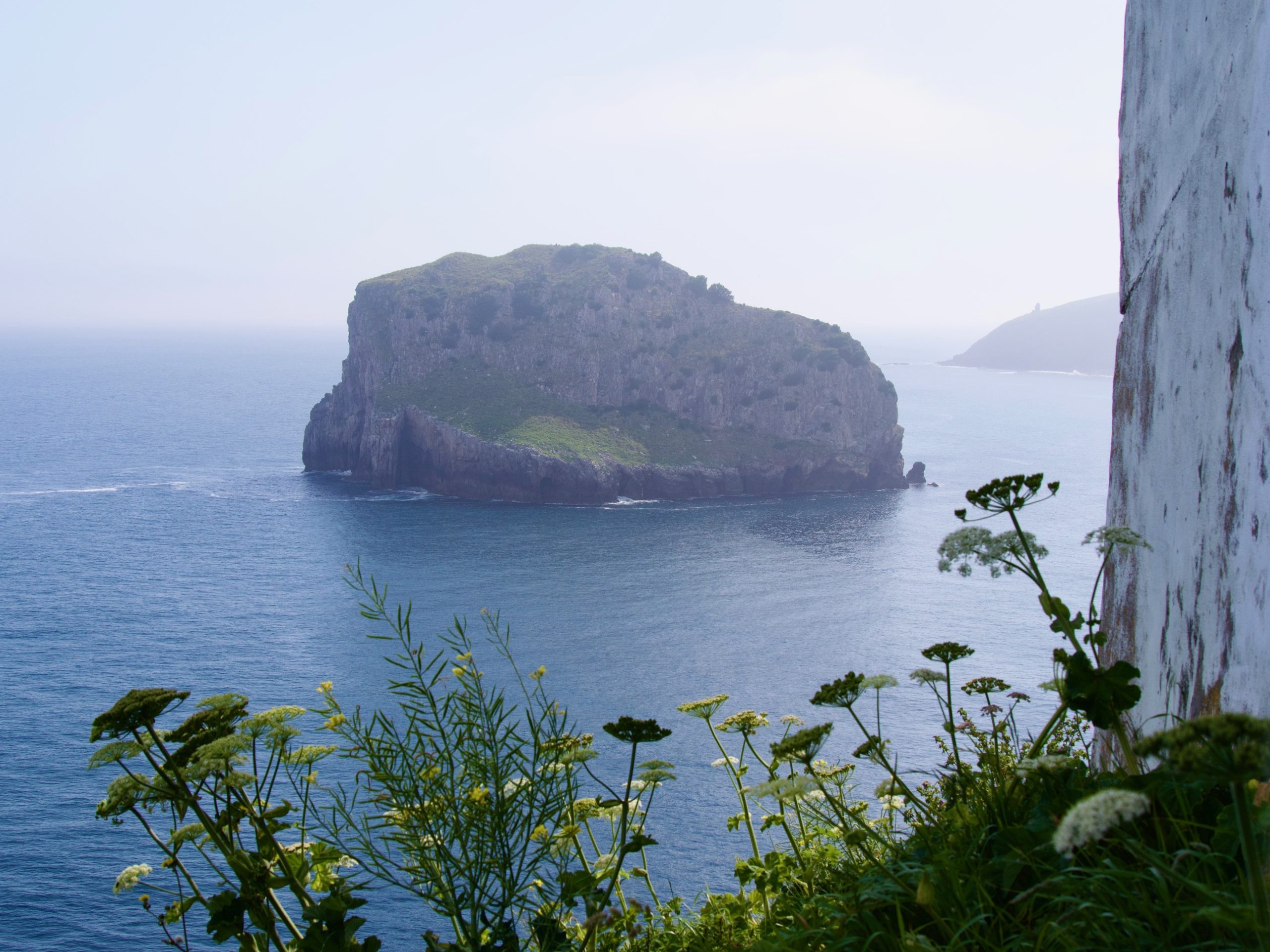 Gaztelugatxe zicht op eiland en bloemen