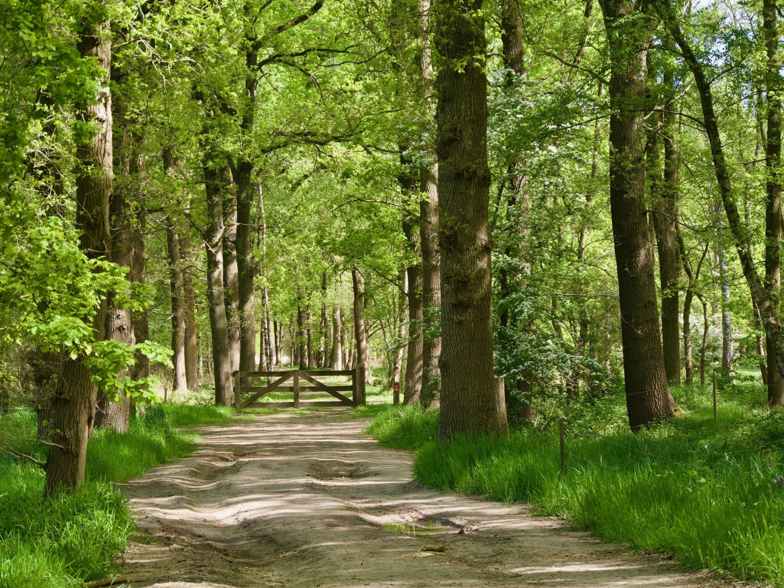 Grensverleggend wandelen, het Twee Landen pad, een vogelroute bij Bergeijk