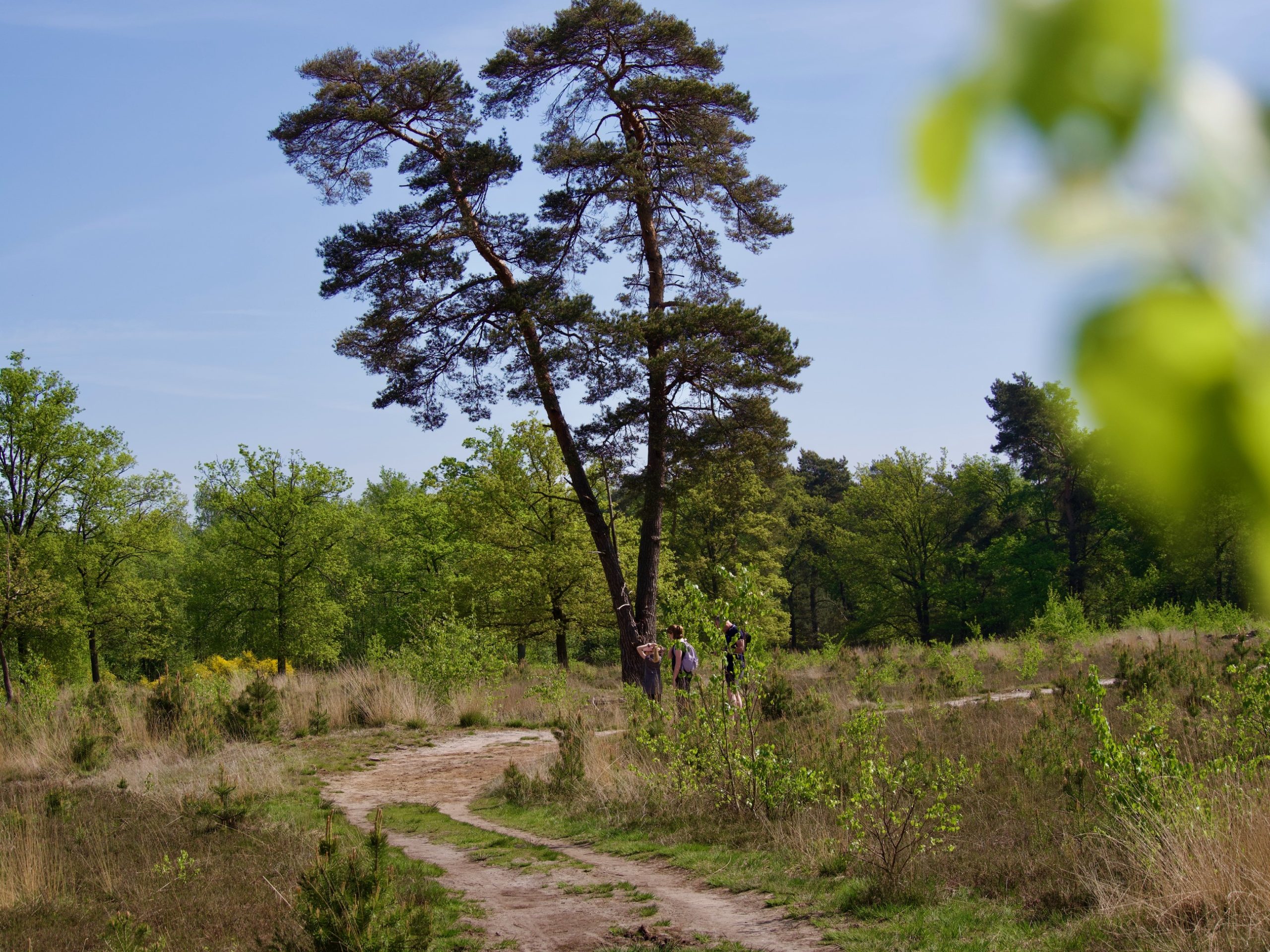 Grensverleggend wandelen