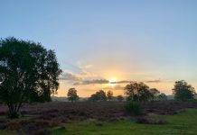 Hoe laat komt de zon op in Nederland