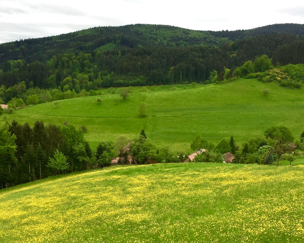 Steinach dal