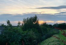 Vaderdag met uitzicht in Nederland en omgeving