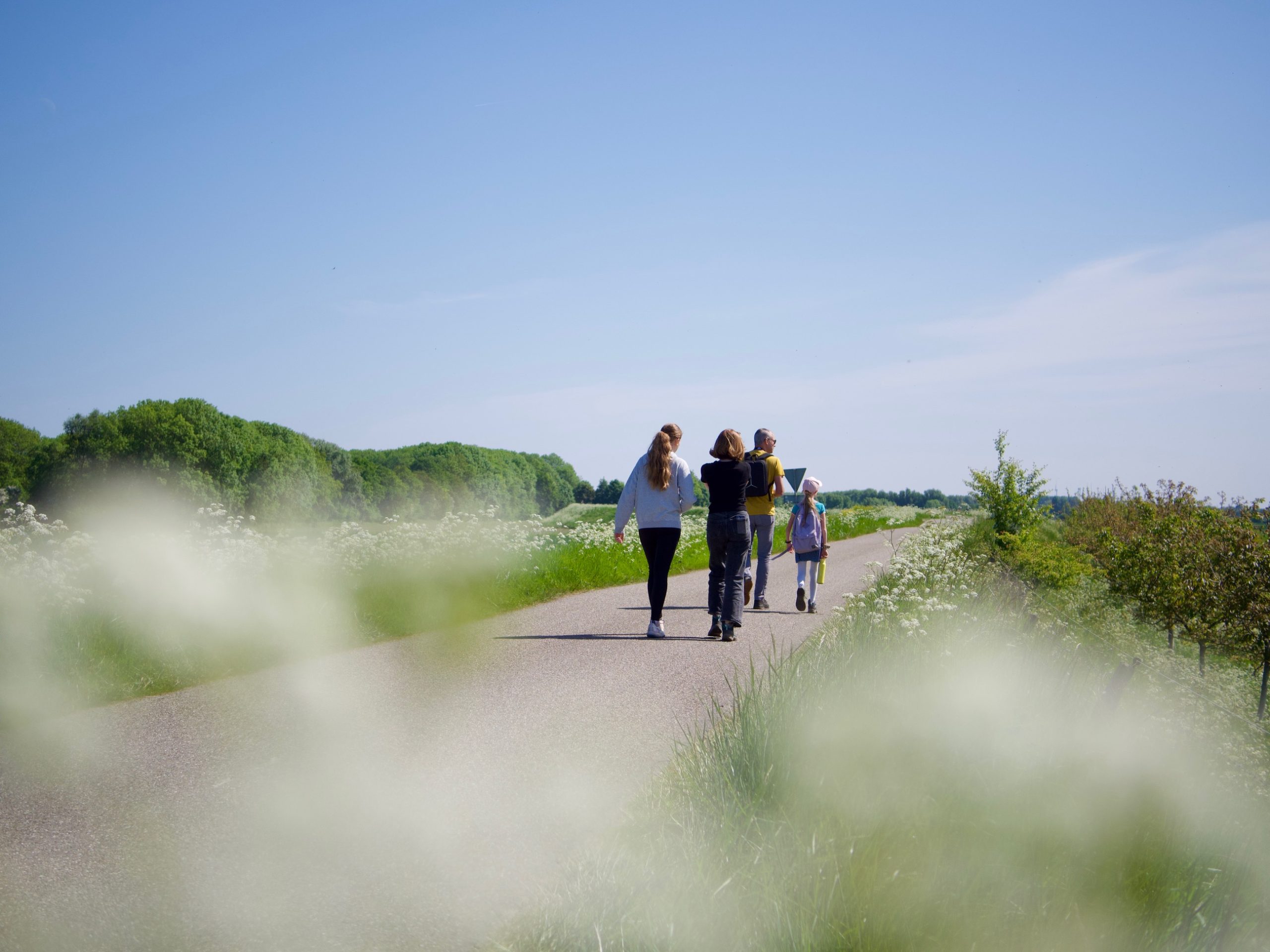 Wandelen omgeving Dreischor