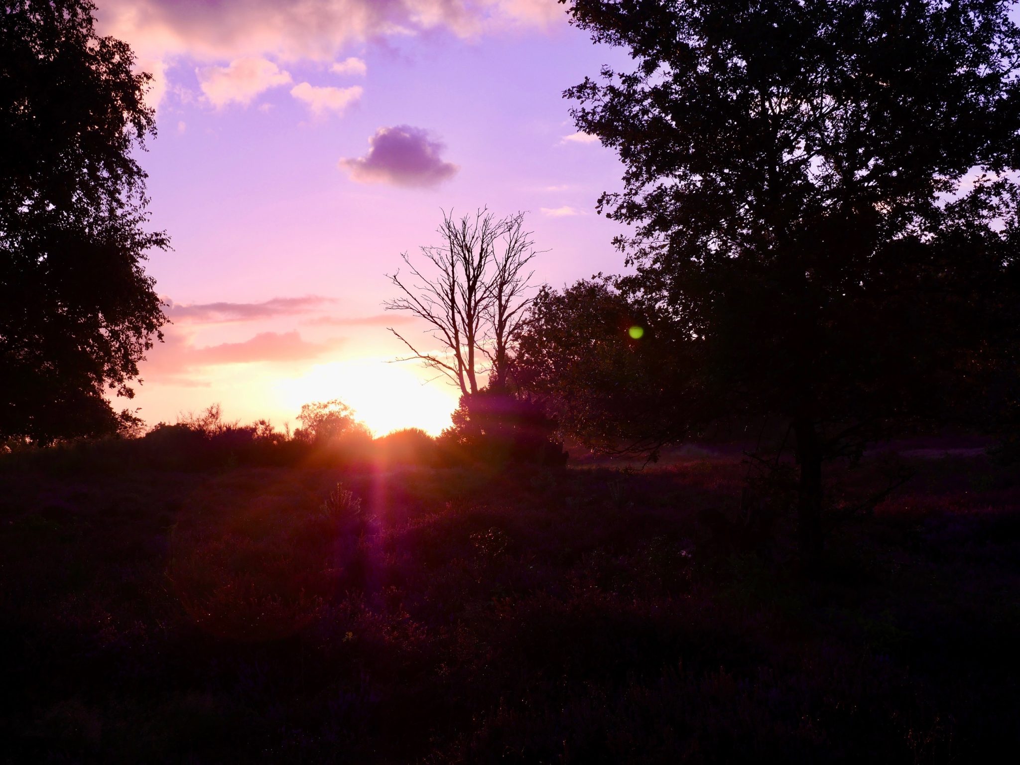 Hoe laat komt de zon op in Nederland? Zonsopkomst per maand