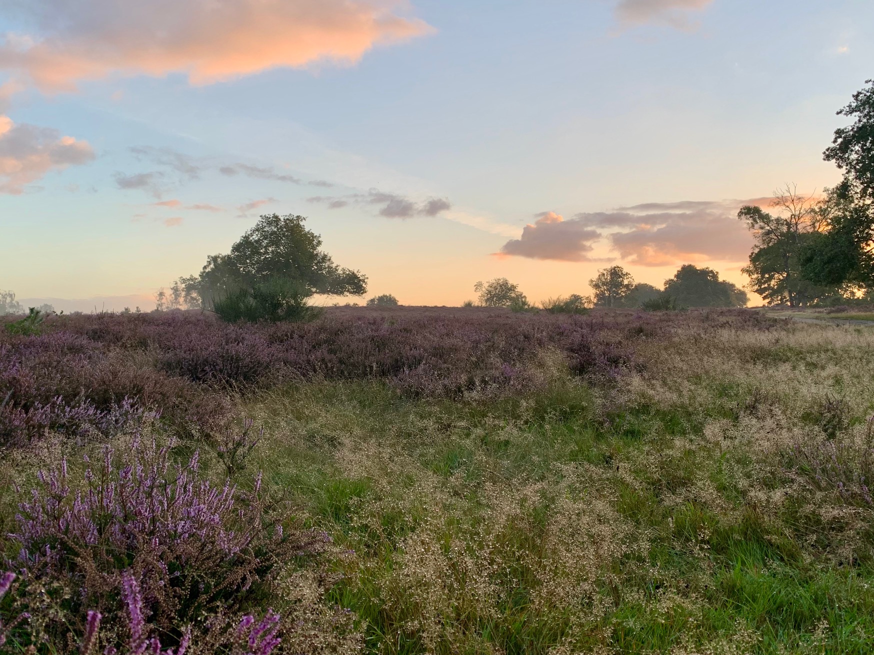 hoe laat zonsopkomst nederland