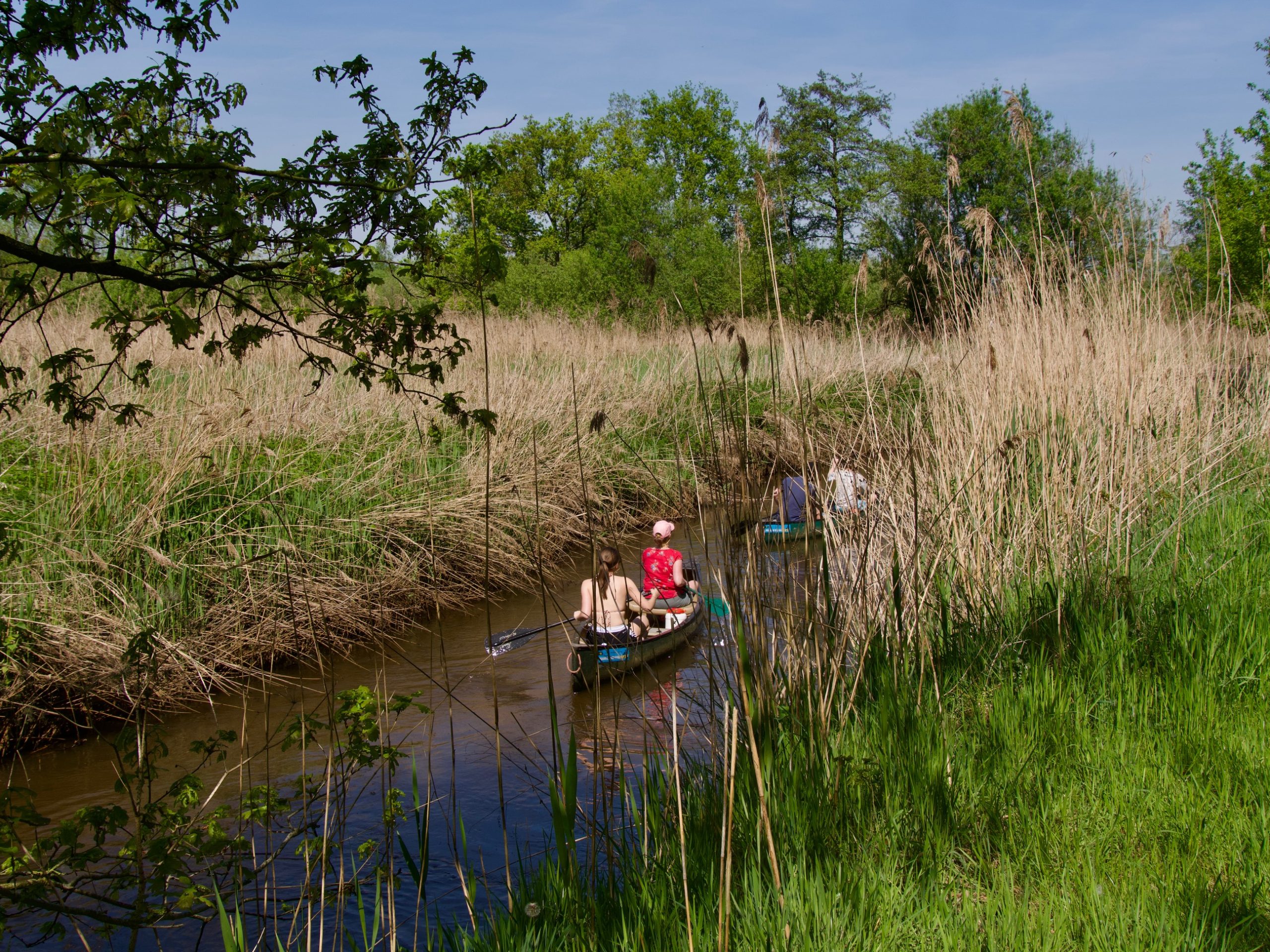 kano in de dommel