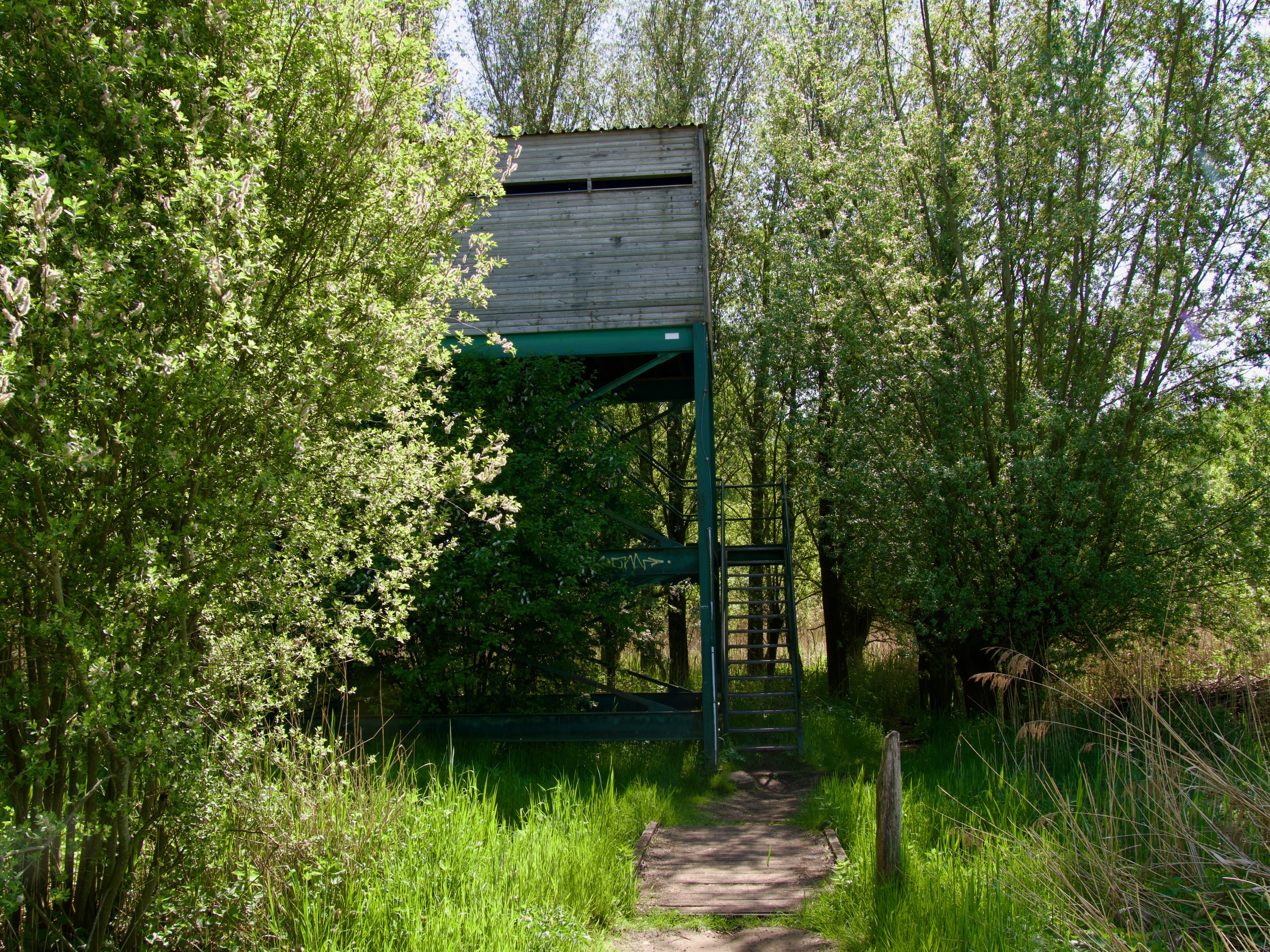 vogelspot hut bergeijk