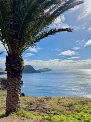 waar verblijven op madeira
