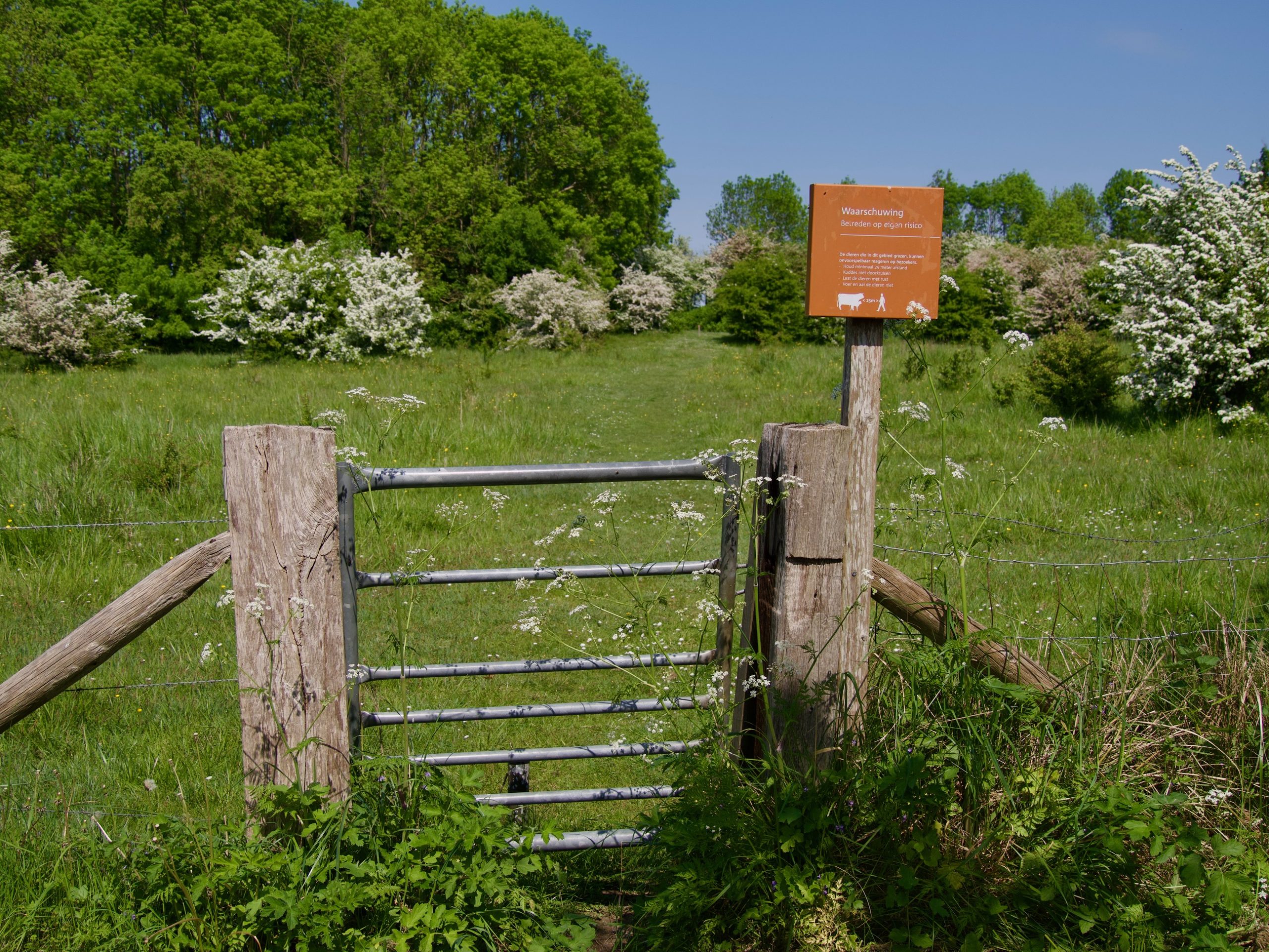 wandeling 9 km rond dreischor