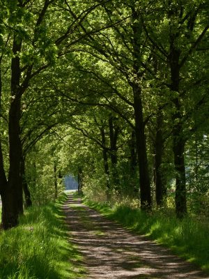 wandeling in nederland 10 km bij bergeijk
