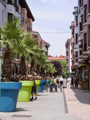 Guernika straat met bloempotten