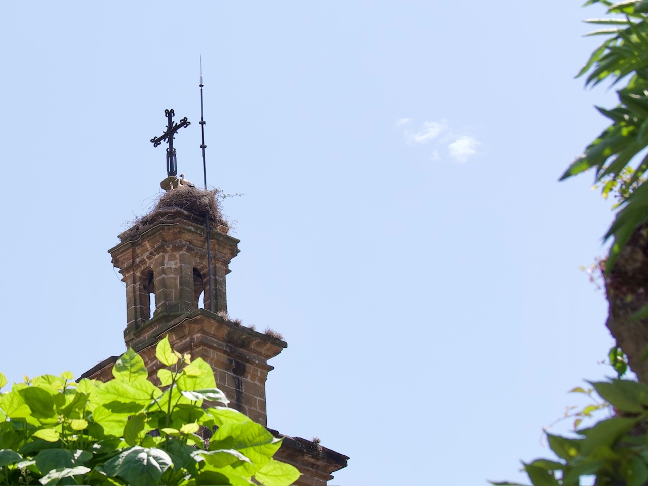 kerk met ooievaars in gernika