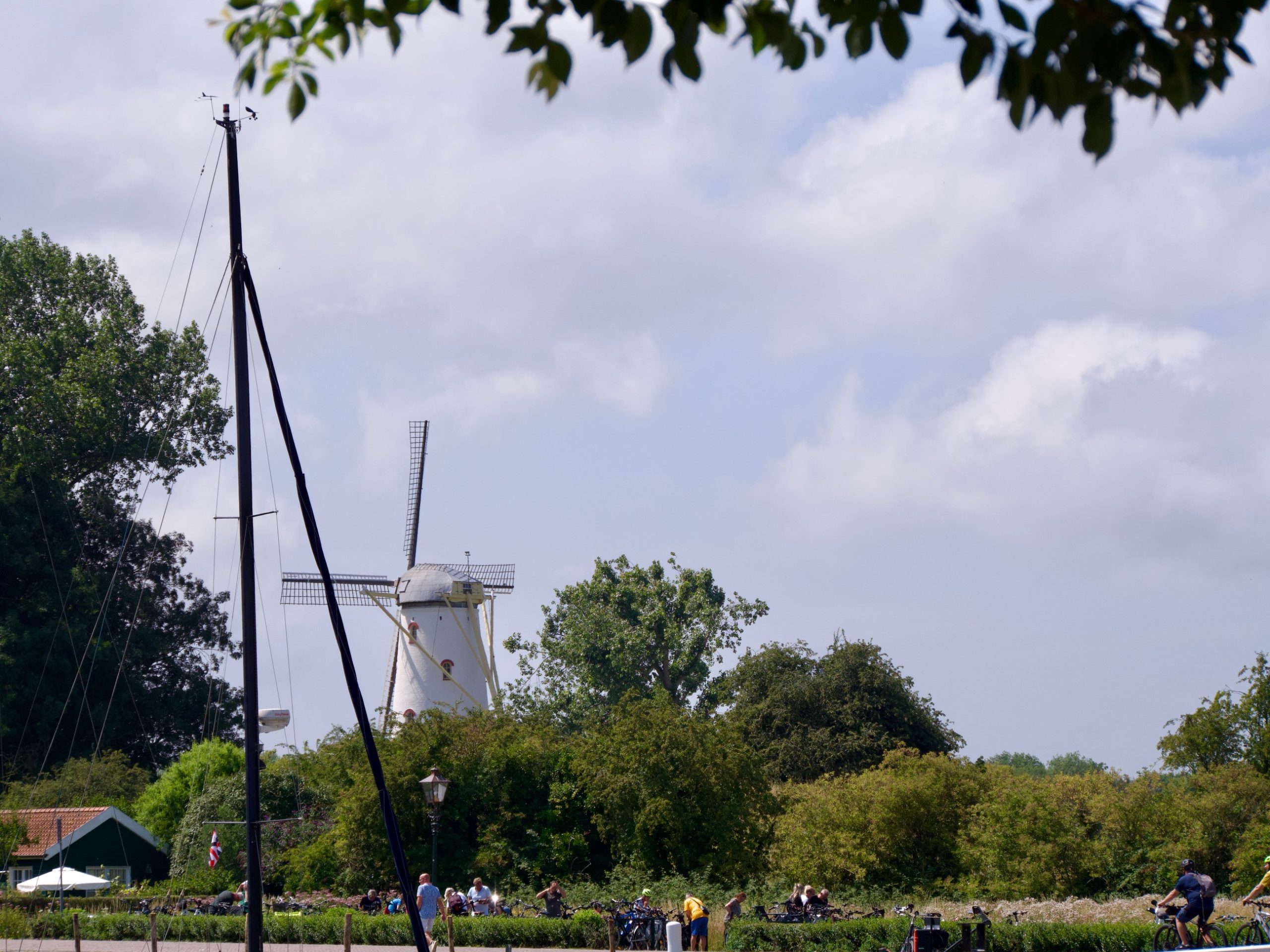 Uitzicht op molen de koe in Veere op Walcheren